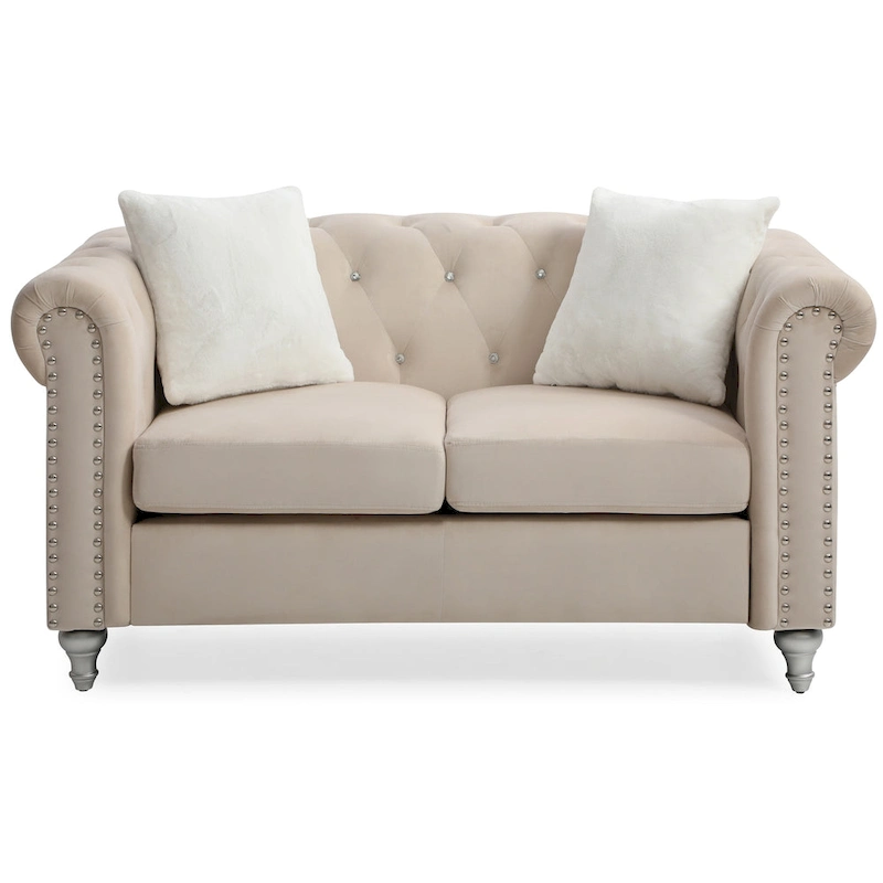 Raisa 60 in. Velvet 2-Seater Sofa With 2-Throw Pillow - 60L x 34W x 30H