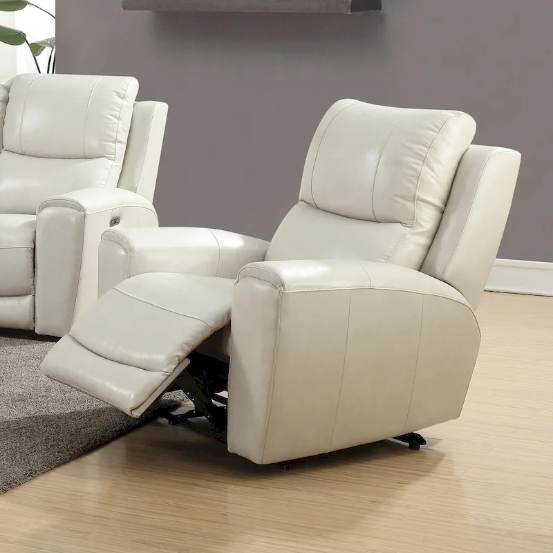 Copper Grove Fyti Top Grain Leather Power Reclining Chair