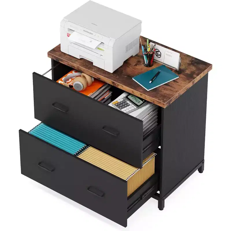 Lantine 2-drawer File Cabinet, Wooden Lateral Filing Cabinet, Home Office File Cabinet for A4, Letter Size