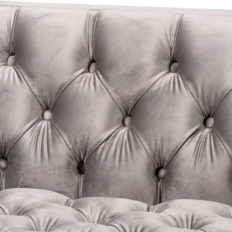 Glam Velvet and Gold Finished 2-Piece Sofa and Lounge Chair Set