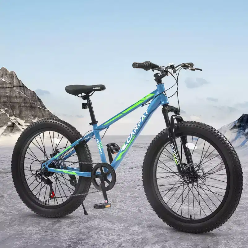 NAYSAYE 24 Inch Fat Tire Mountain Bike with 7 Speed Shifter Dual Disc Brake for Adults and Youth, Blue and Green, 67*25*40