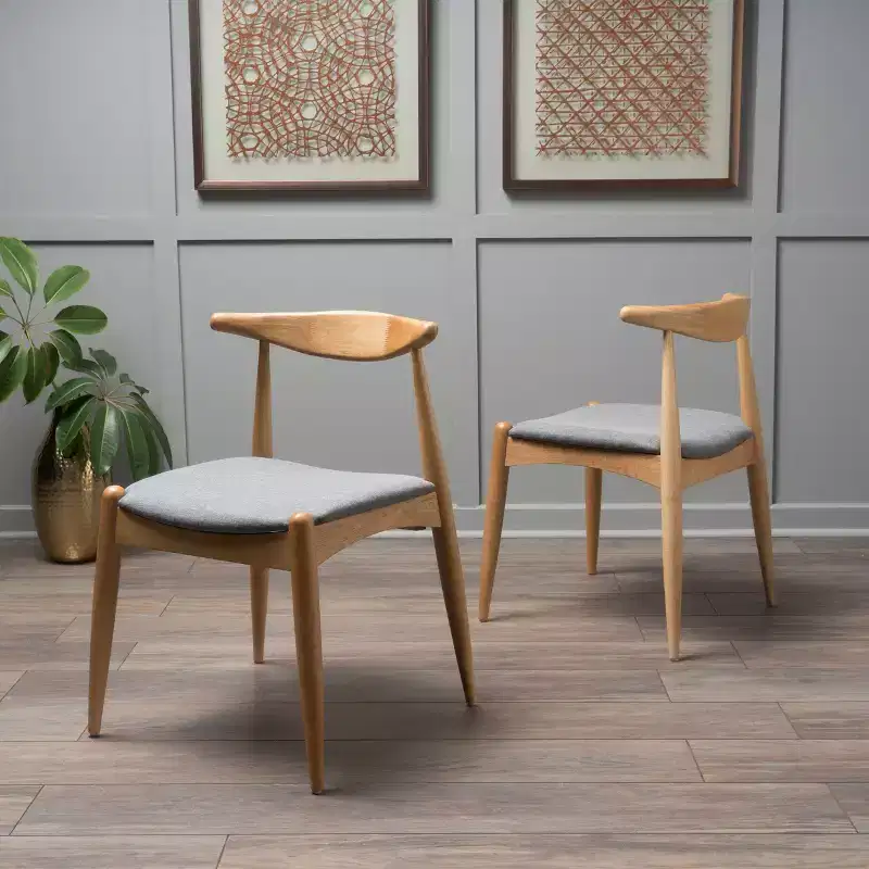 Set of 2 Francie Mid Century Dining Chairs - Christopher Knight Home
