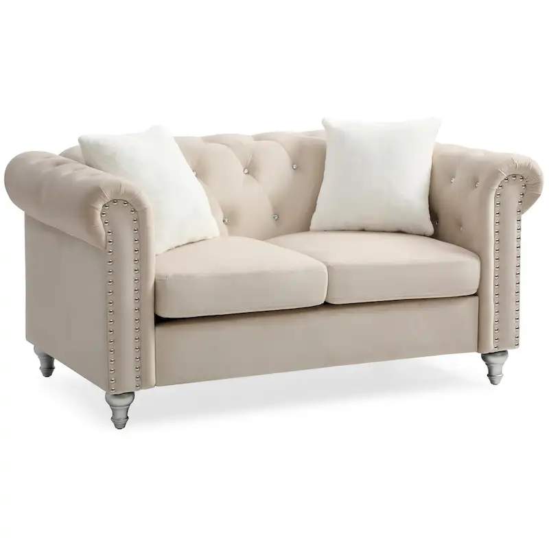 Raisa 60 in. Velvet 2-Seater Sofa With 2-Throw Pillow - 60L x 34W x 30H