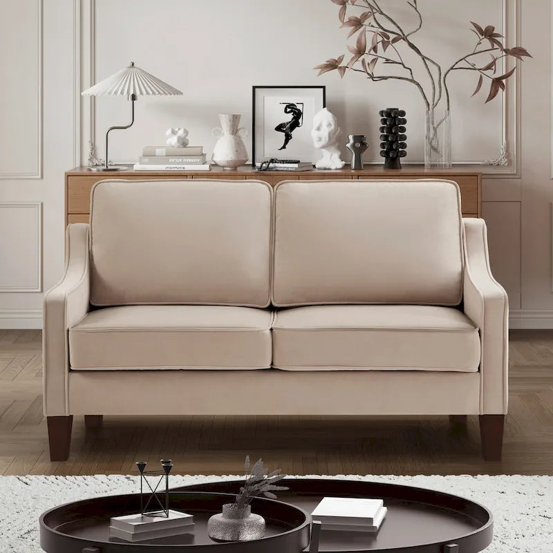 Modern Loveseat Sofa For Living Room