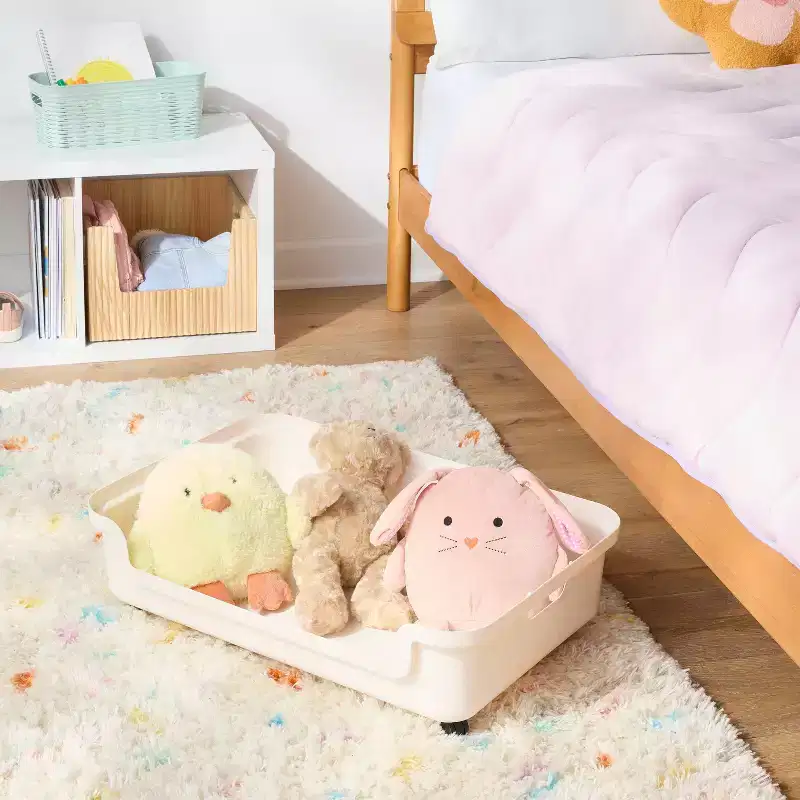 Under Bed Rolling Kids Storage