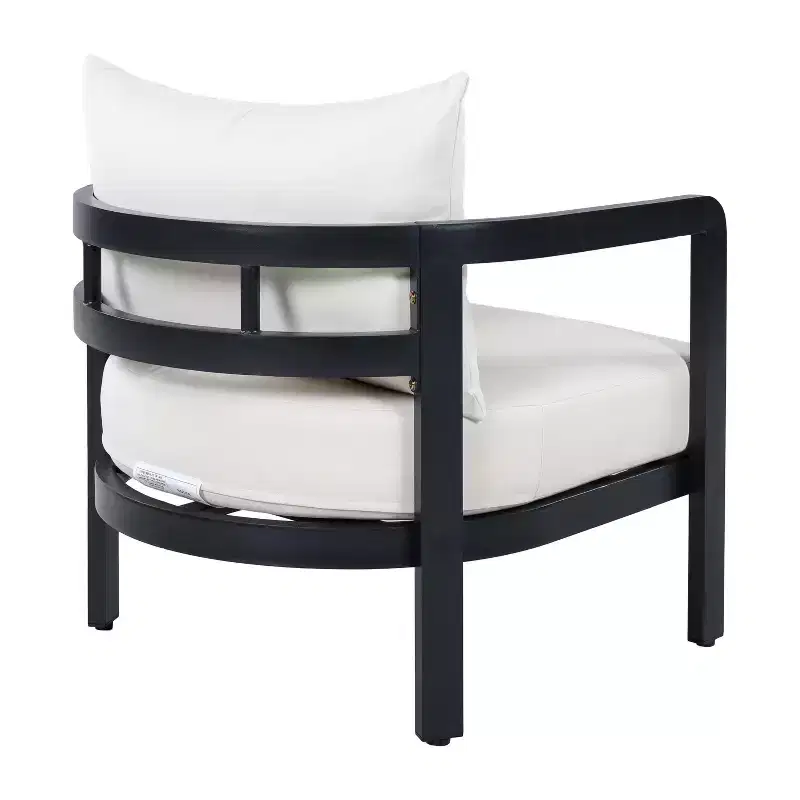 Christopher Knight Home Rosa Modern Aluminium Patio Accent Chairs with Curved Backrest and Cushion (Set of 2)