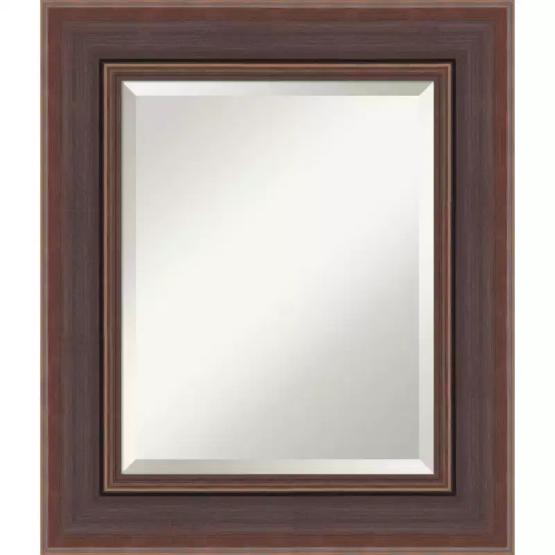 Brown Bronze Beveled Framed Bathroom Vanity Wall Mirror