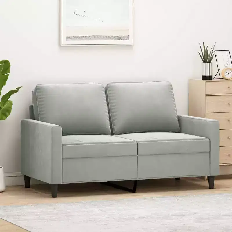 Modern 2-Seater Sofa Crafted from Velvet and Metal Frame, Comfortable Padded Seating, Light Gray - Ideal for Living Room or Patio
