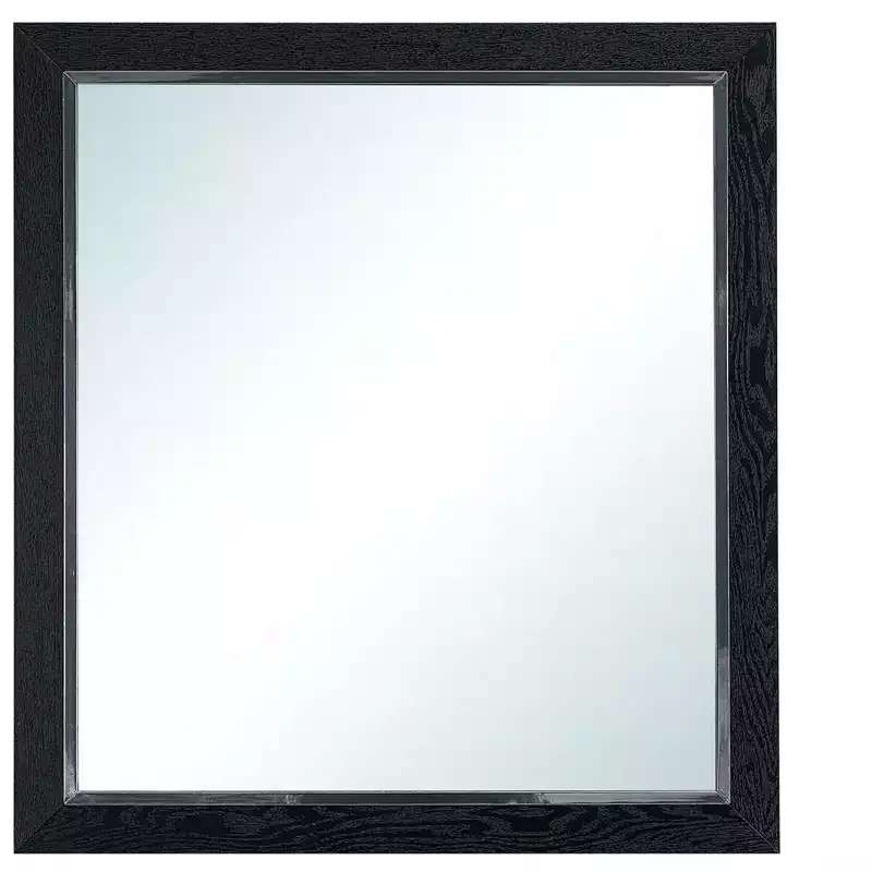 Passion Furniture Livingston 36 in. W x 40 in. H Rectangle Wood Frame Black Dresser Mirror