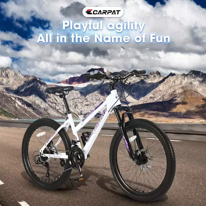 NAYSAYE Bicycle 24 Inch Mountain Bike with 21 Speed Shifter Dual Disc Brakes for Teenagers and Women, White, 66*24.8*35