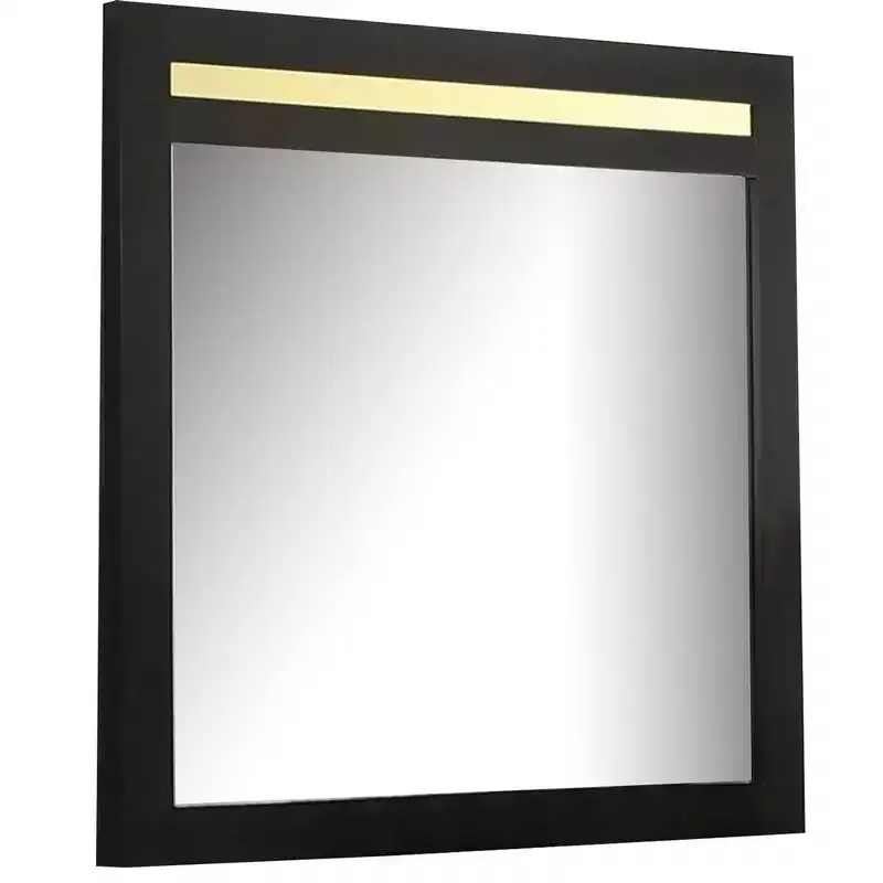 41 Inch Wall-Mount Dresser Mirror, Black Frame with Gold Acrylic Trim