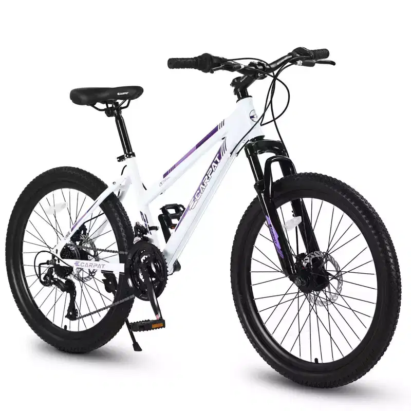 NAYSAYE Bicycle 24 Inch Mountain Bike with 21 Speed Shifter Dual Disc Brakes for Teenagers and Women, White, 66*24.8*35